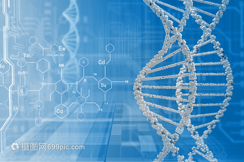 DNA分子高科技DNA分子的生物化学背景